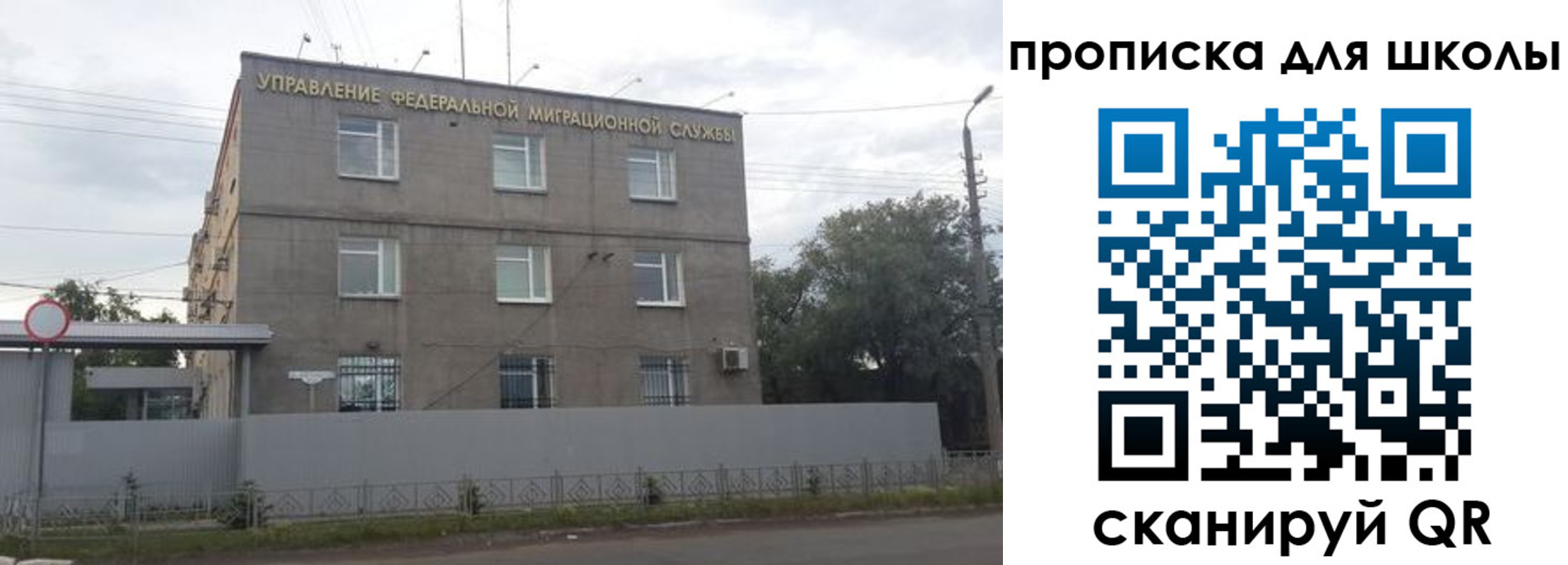 прописка законно в Шали